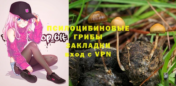 наркотики Алексин