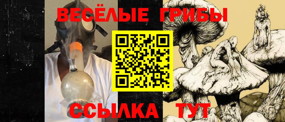 Севастополь  Галлюциногенные грибы Psilocybine cubensis  Вход с VPN  Галлюциногенные грибы Cubensis 